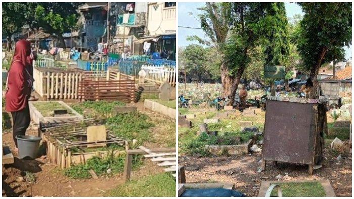 Viral TPU Prumpung Jadi Kandang Ternak Dapat Beragam Respons hingga Tindakan Langsung oleh Petugas