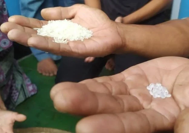 Viral Temuan Beras Plastik di Karung Beras Bantuan Kemensos