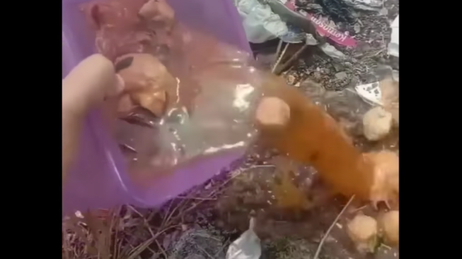 Viral Tidak Jadi Makan Bakso Karena Temukan Kepala Tikus di Dalamnya