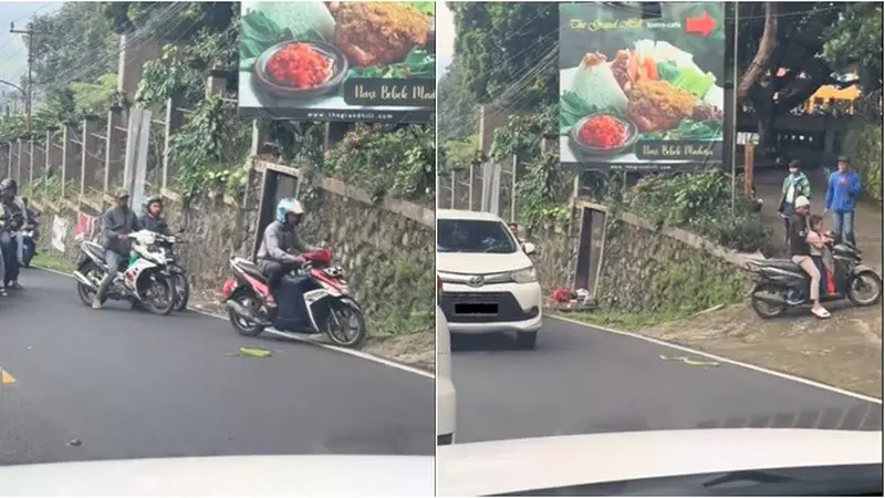 Viral Ular Hijau Bikin Macet Jalan, Pengendara Motor Takut Mau Lewat