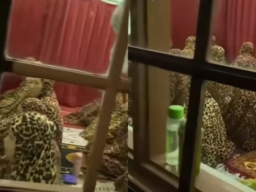 Viral Video Ibu ibu Tarawih Pakai Mukena Seragam Motif Macan Tutul Bikin Geleng Kepala