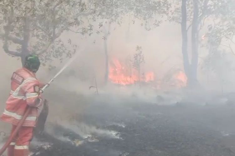 Viral Video Kabut Asap Selimuti Uniska Banjarmasin Kampus : Akibat Kebakaran Lahan 