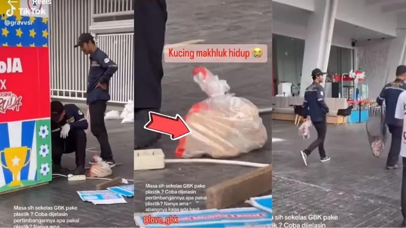 Viral Video Petugas GBK Masukkan Kucing Dalam Plastik