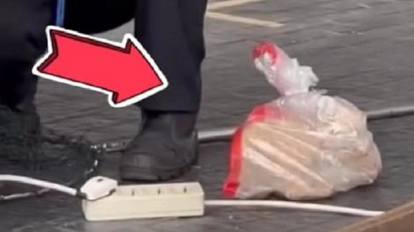 Viral Video Petugas GBK Masukkan Kucing Dalam Plastik