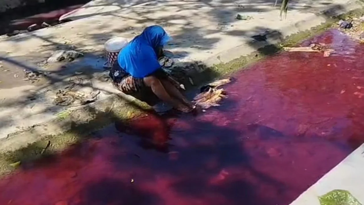 Viral Warna Air Sungai di Pamekasan Berubah Jadi Merah Darah