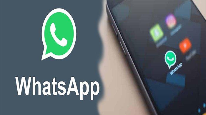 WhatsApp Resmi Ubah Tampilan Baru Mirip Instagram Heboh Media Sosial